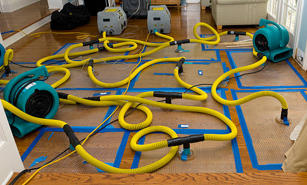Professional Structural Drying And Dehumidification technician working in New City, NY